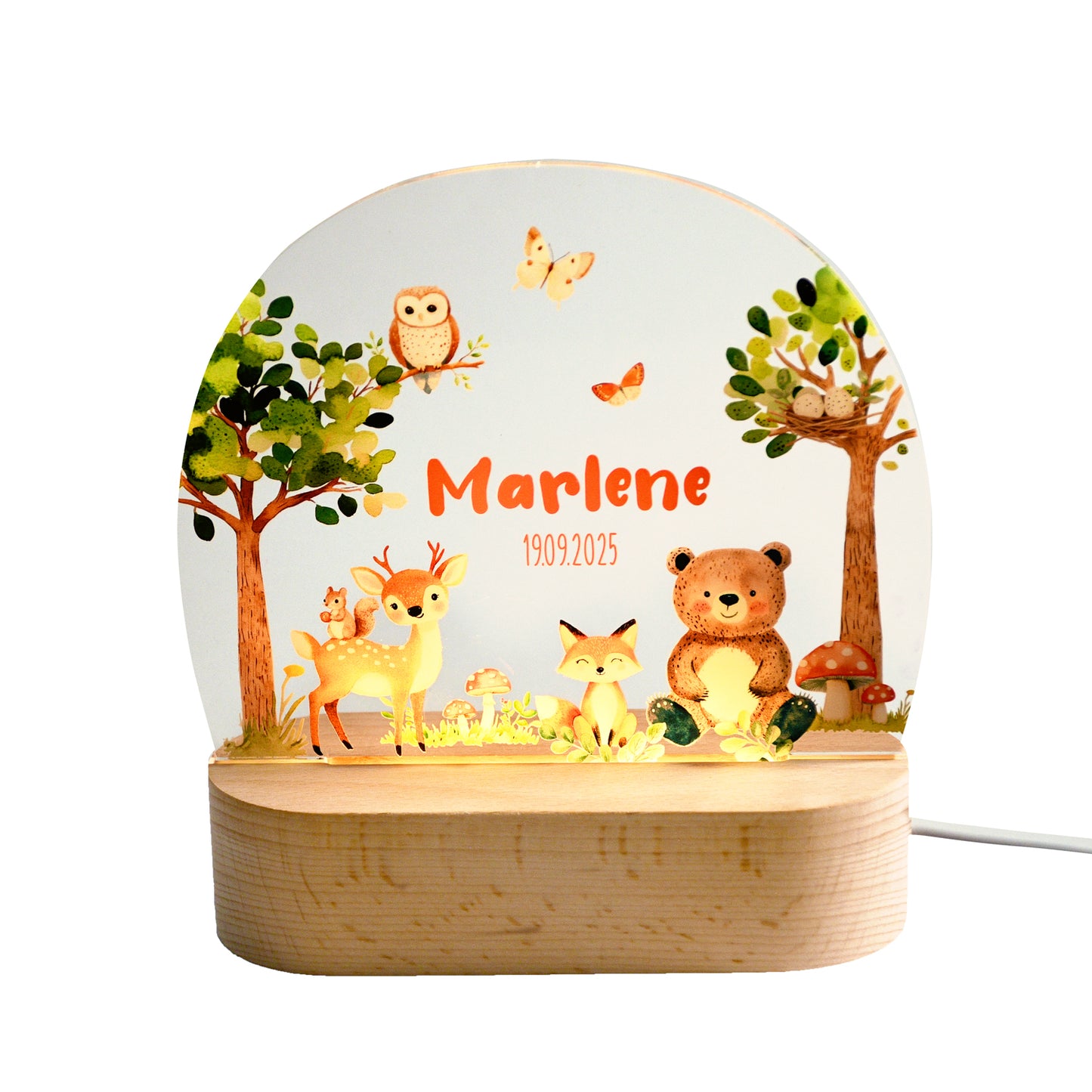 Beleuchtetes Nachtlicht mit Acrylplatte und Holzsockel aus Buche auf weißem Hintergrund, Waldmotiv mit Tieren wie Bär, Fuchs, Reh, Eichhörnchen und Eule.